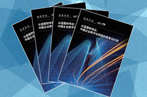 《从蓝图到伟业：中国企业数字化转型的思考与行动》
