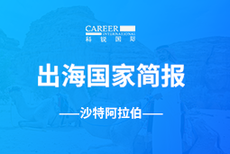 K8官网GO GLOBAL | 沙特阿拉伯国家简报